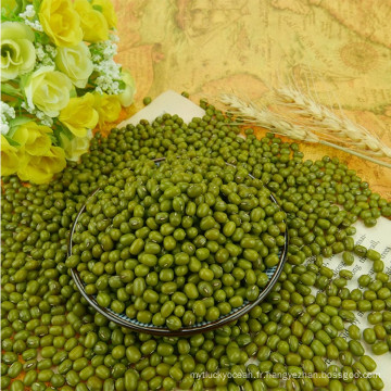Taille 3.0-4.0mm Green Mung Beans 2017 Agriculture Corp